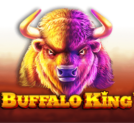 Buffalo King