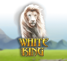 White King 1xBet Играть